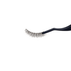 Pop Quiz - FGB Lashes
